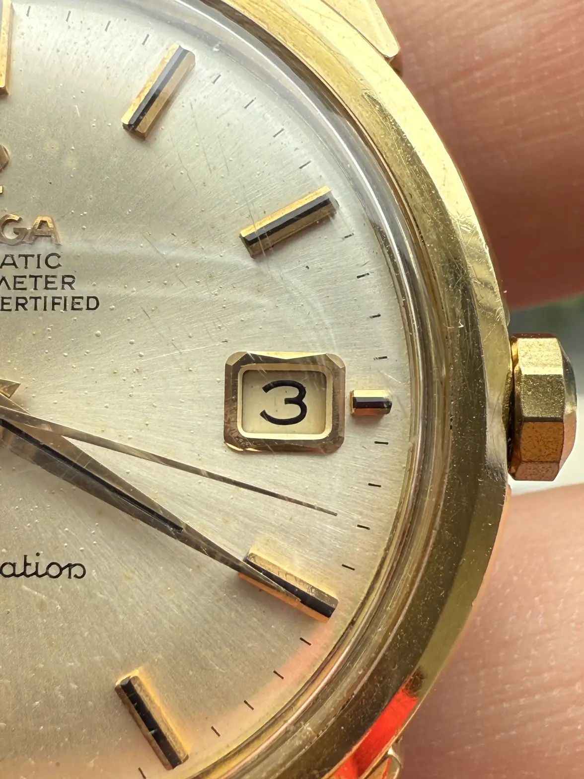 IMG_6006.webp IMG_6006.webp