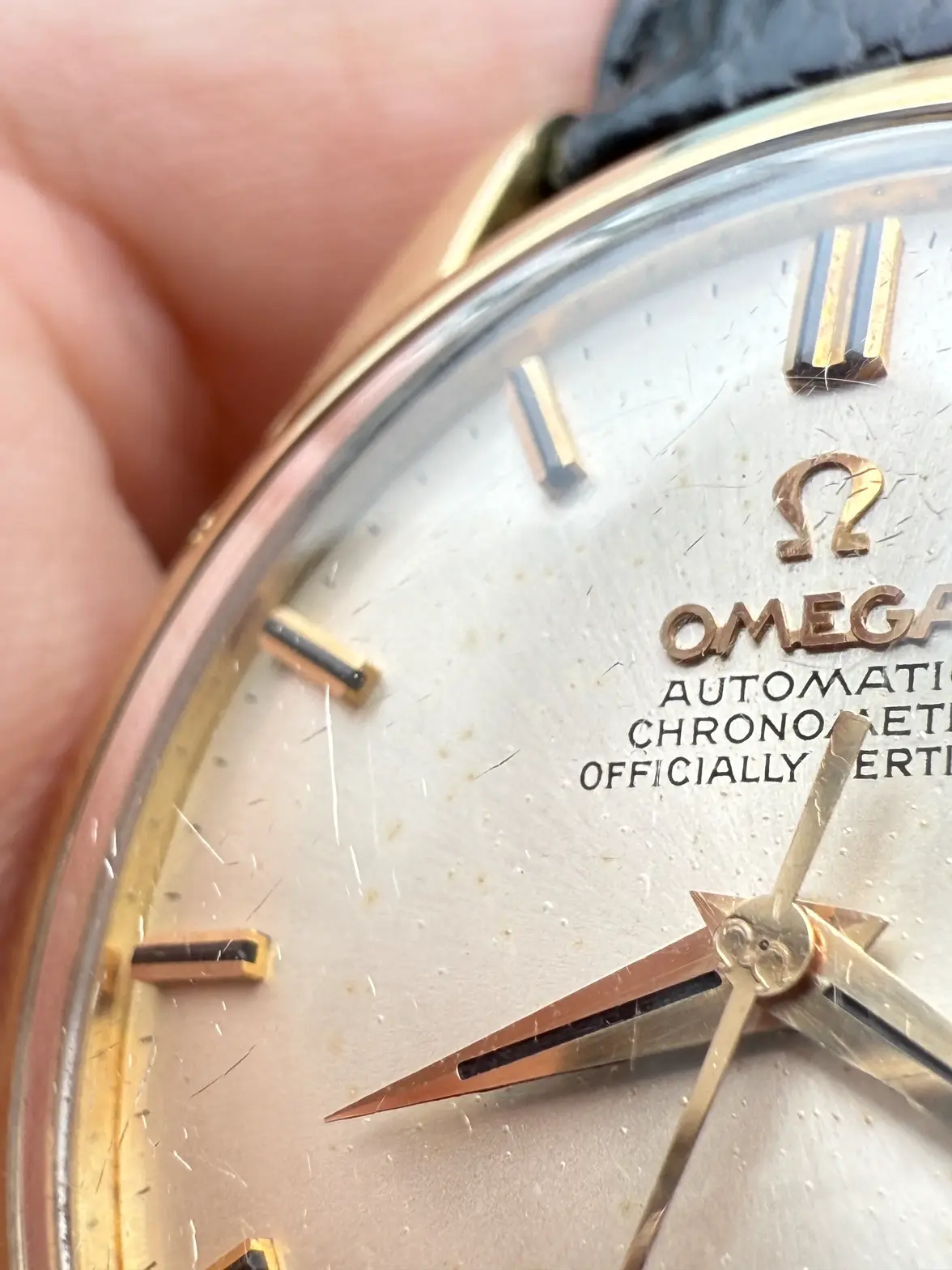 IMG_6007.webp IMG_6007.webp