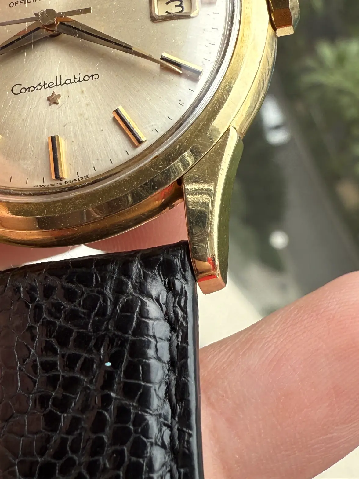 IMG_6008.webp IMG_6008.webp