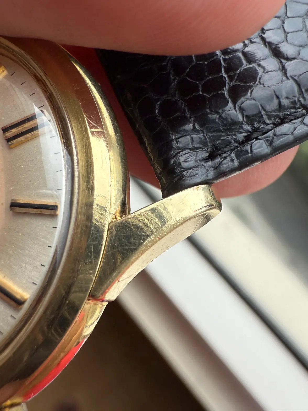 IMG_6009.webp IMG_6009.webp