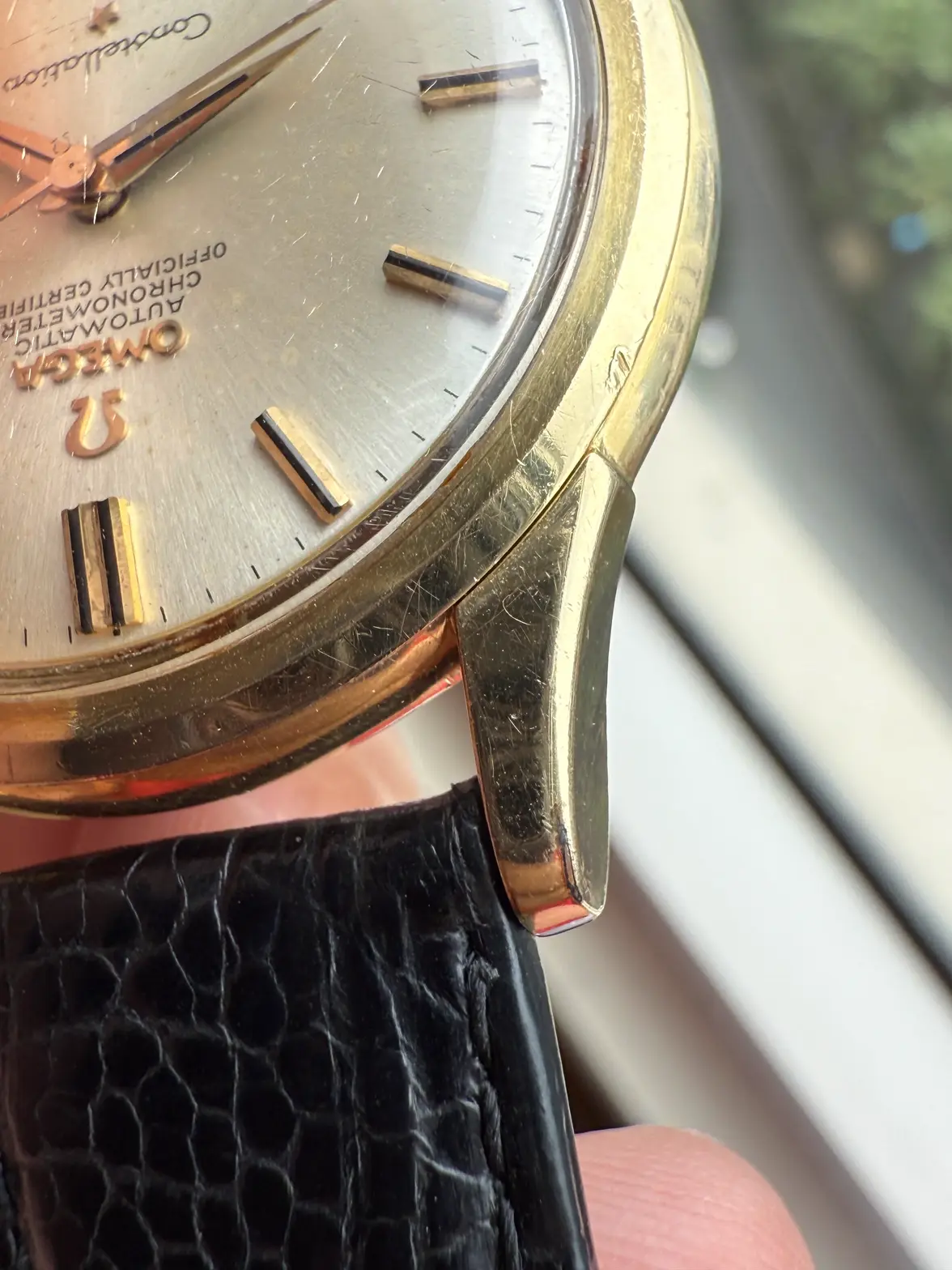 IMG_6010.webp IMG_6010.webp