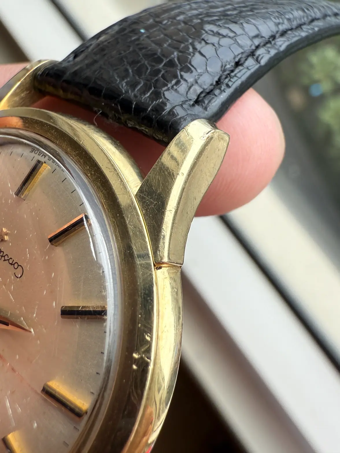 IMG_6011.webp IMG_6011.webp