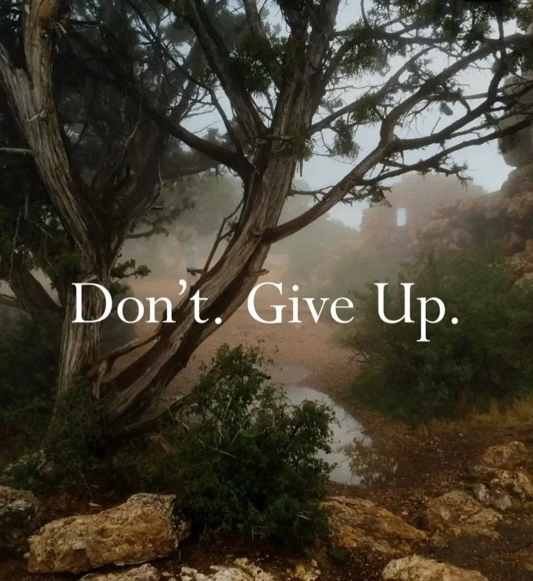 Screenshot_20251217_131650_Instagram.webp Screenshot_20251217_131650_Instagram.webp