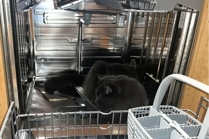 Screenshot 2025-12-28 7.21.45 AM.webp