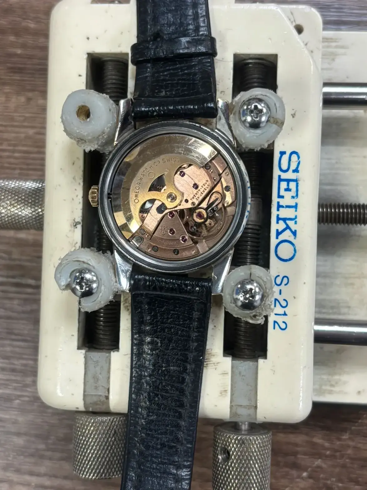 inside movement.webp