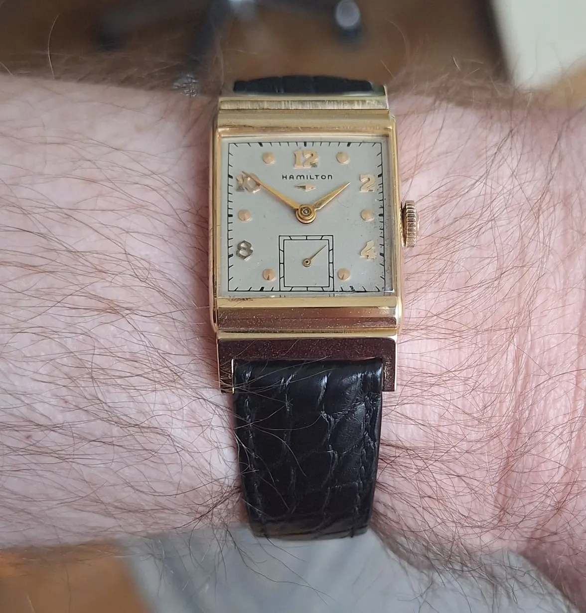 Hamilton Wesley-B wristshot 11.webp