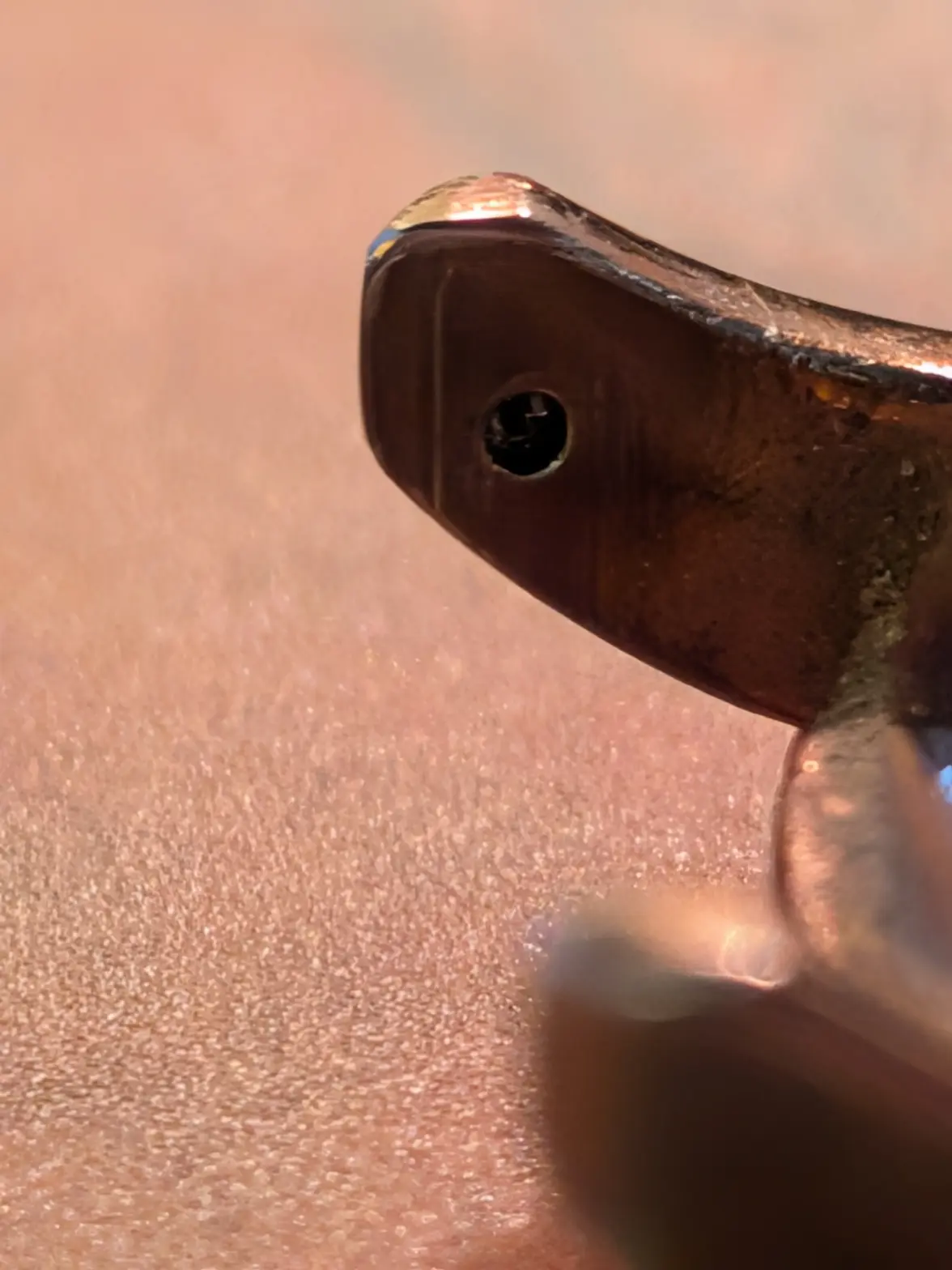 PXL_20260101_235231059.webp PXL_20260101_235231059.webp