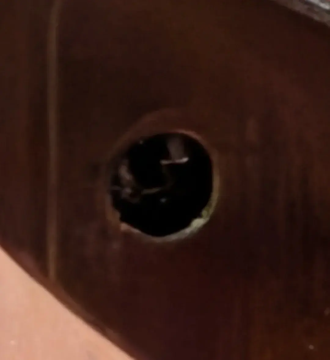 Screenshot_2026-01-03-02-32-28-451_com.android.chrome-edit.webp Screenshot_2026-01-03-02-32-28-451_com.android.chrome-edit.webp