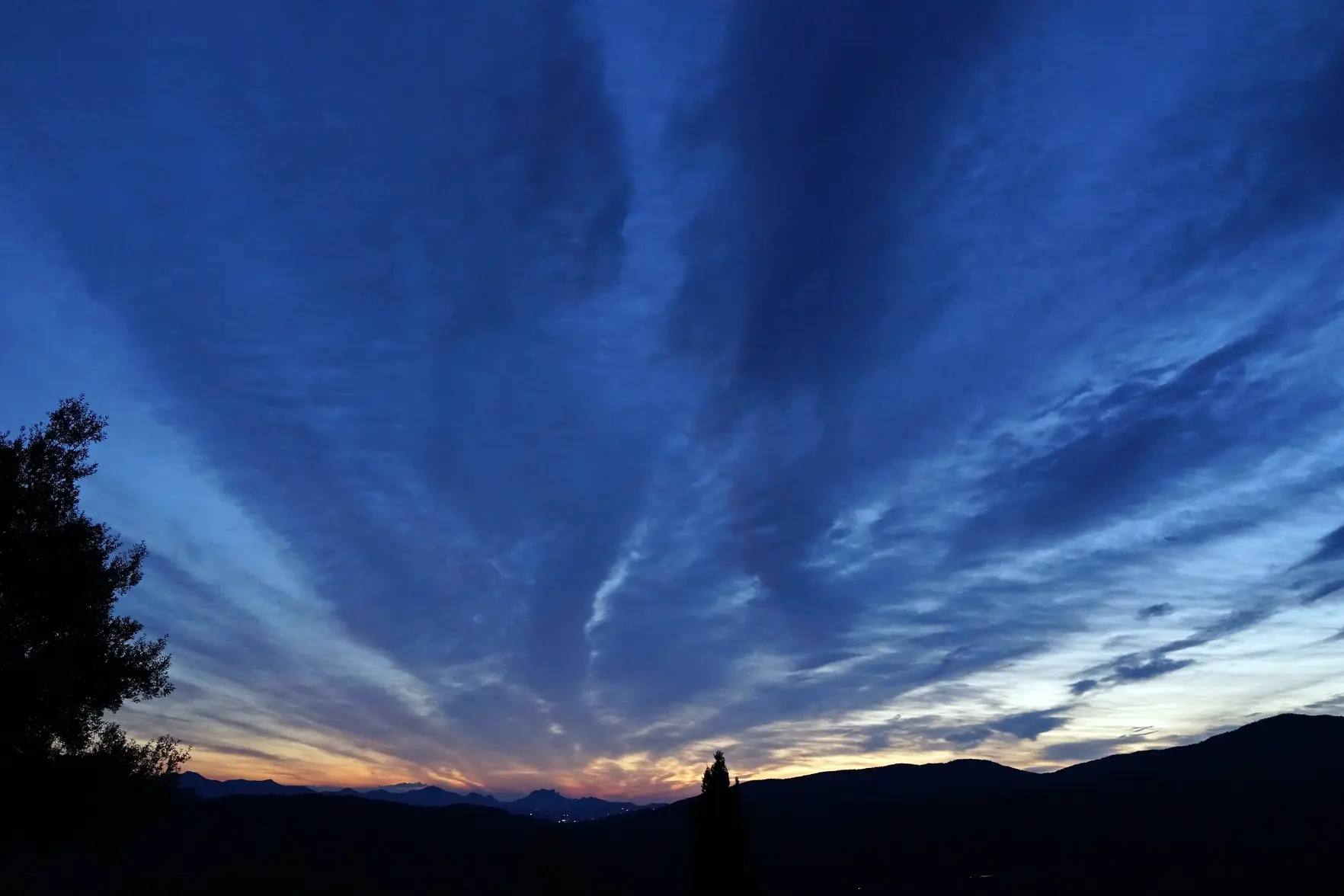 DSC02436bb gross.webp