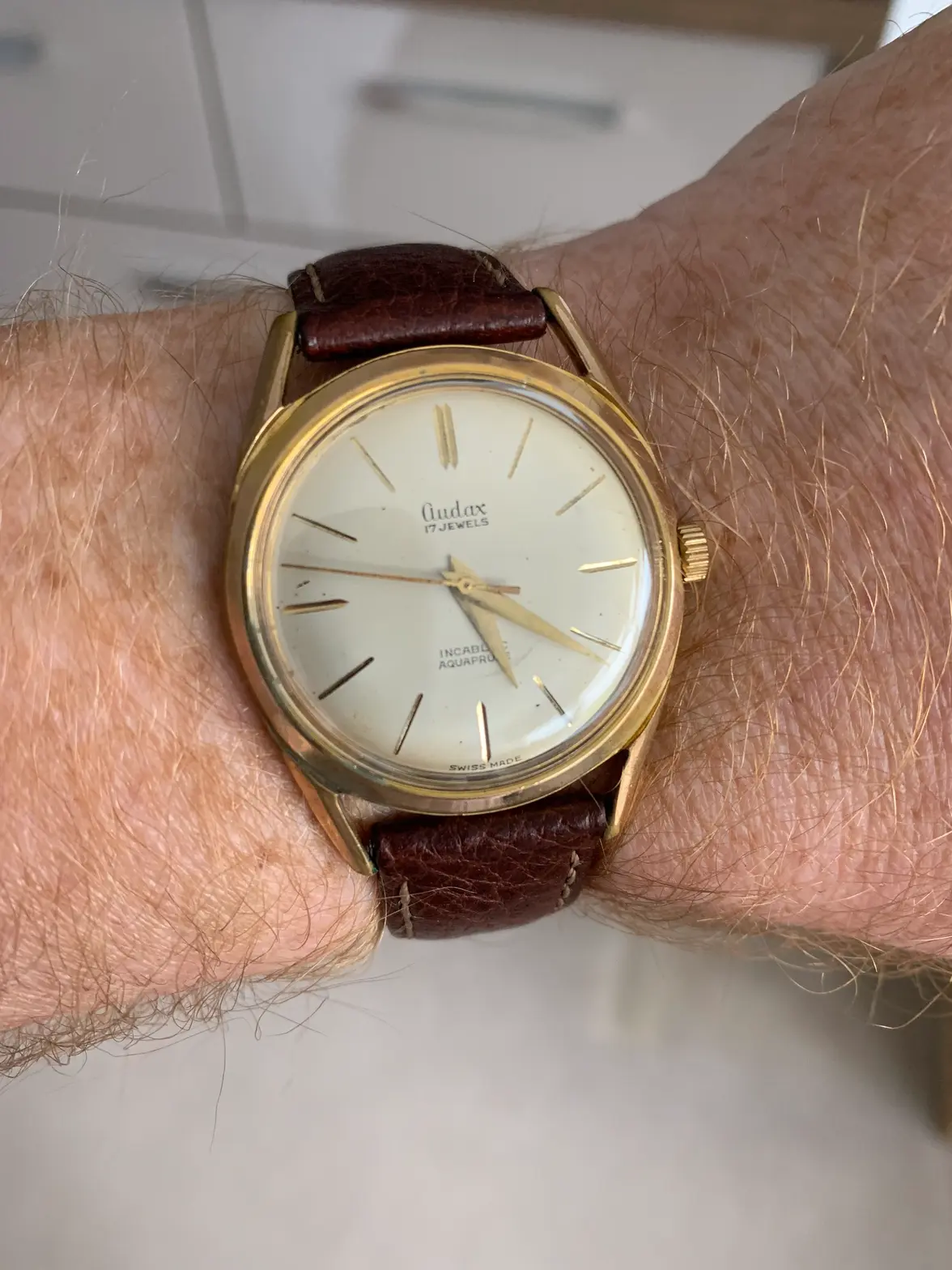 IMG_3351.webp IMG_3351.webp