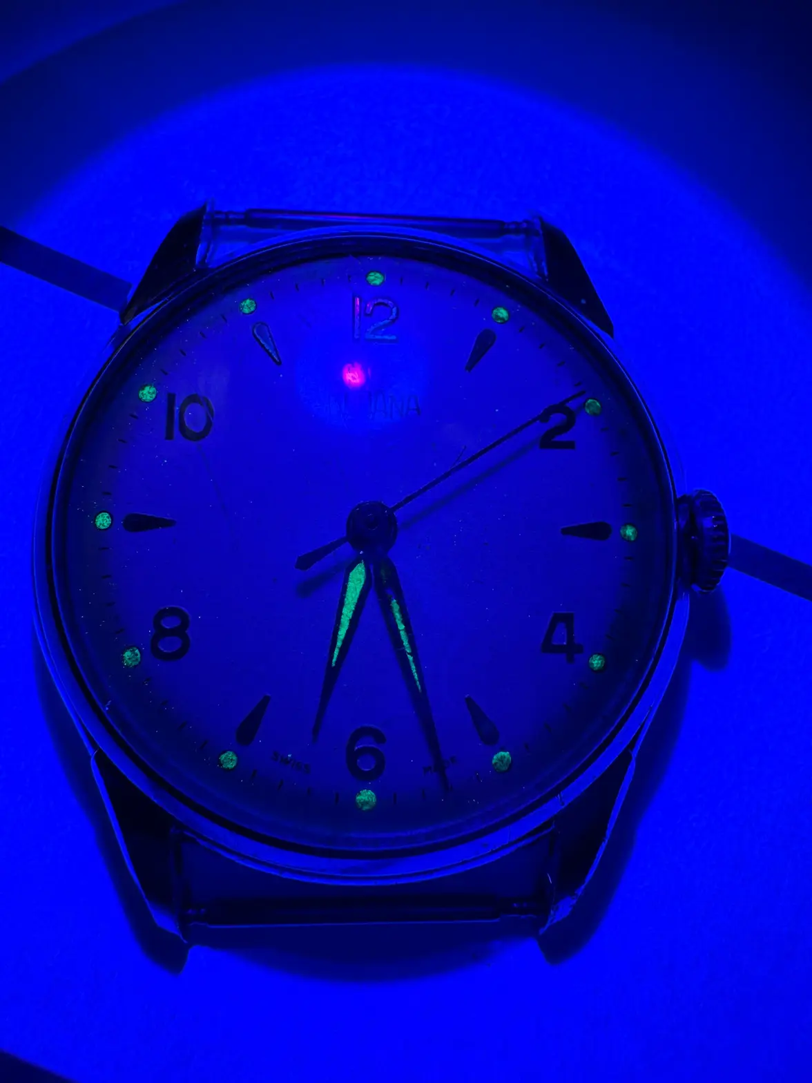 IMG_1086.webp IMG_1086.webp