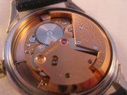 Omega Bumper 021.JPG