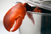 lobster-boil.jpg