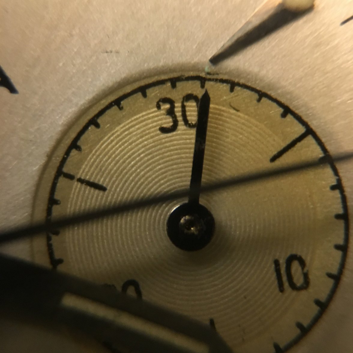 image.jpeg image.jpeg