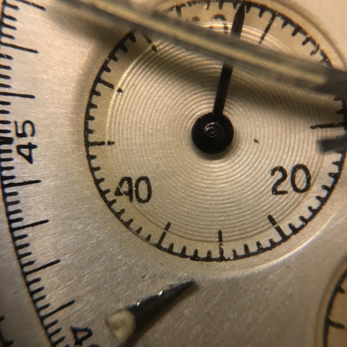 image.jpeg image.jpeg