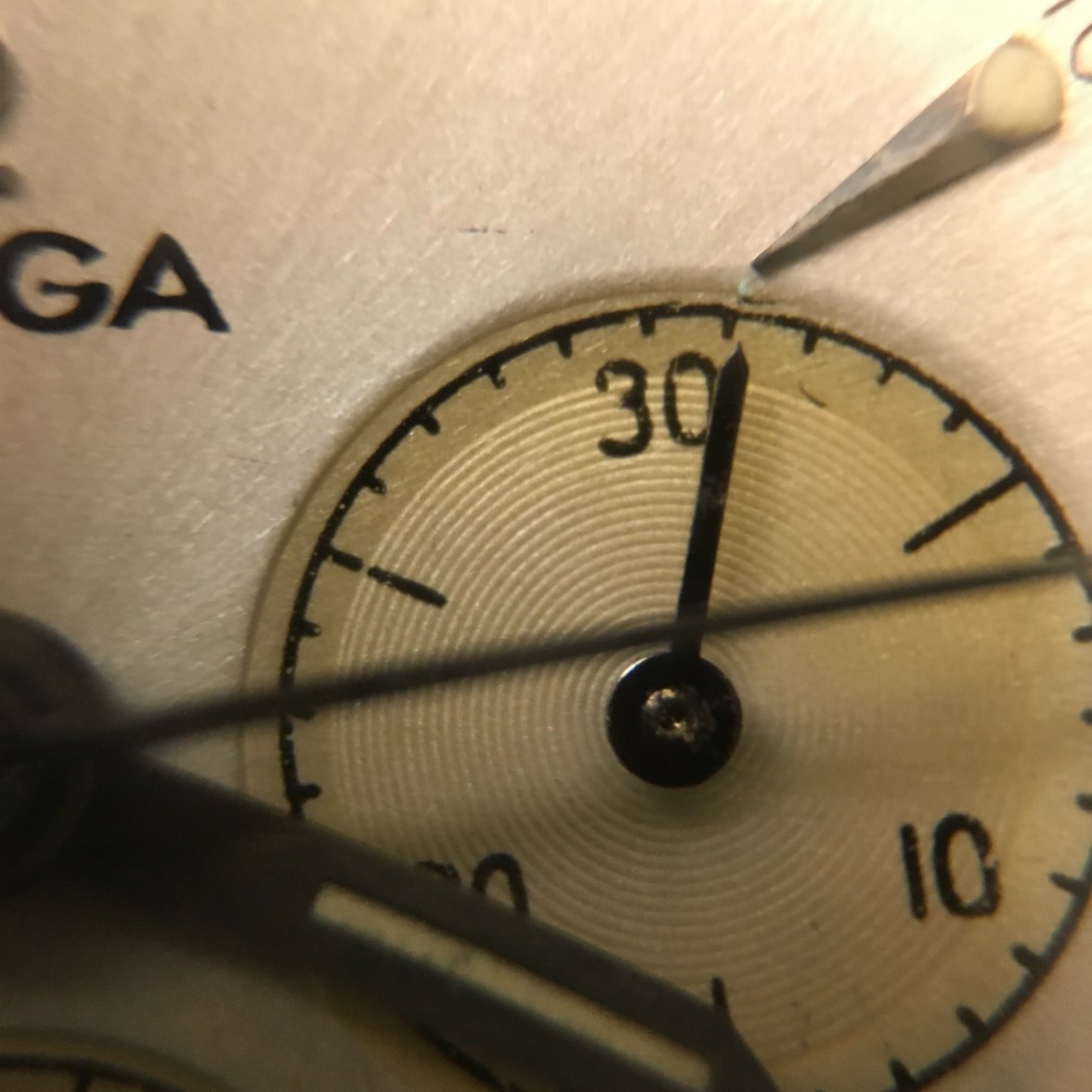 image.jpeg image.jpeg