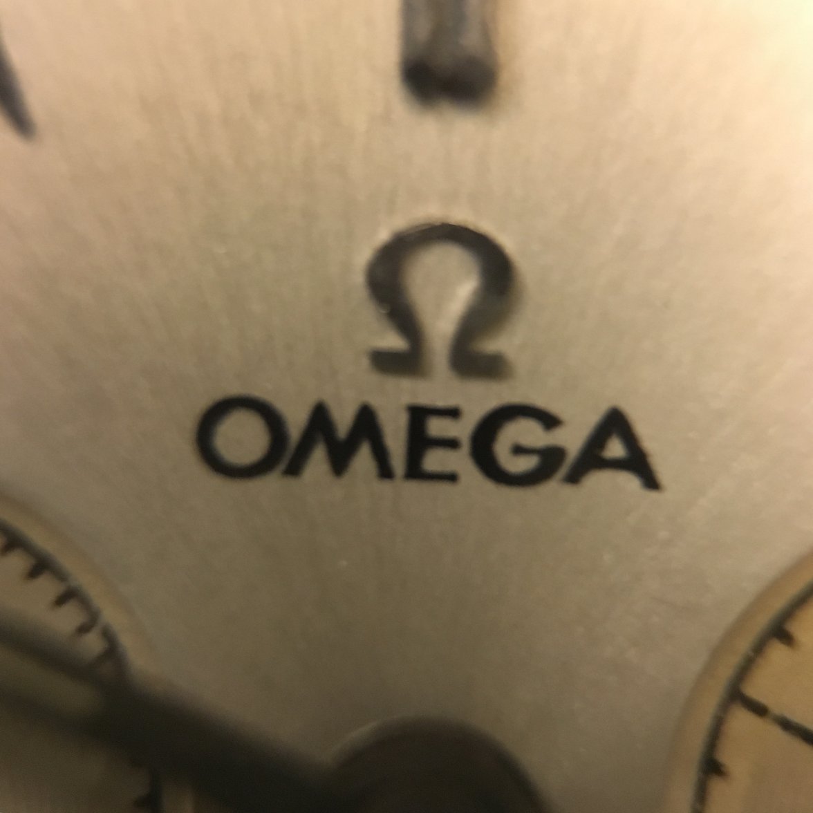 image.jpeg image.jpeg