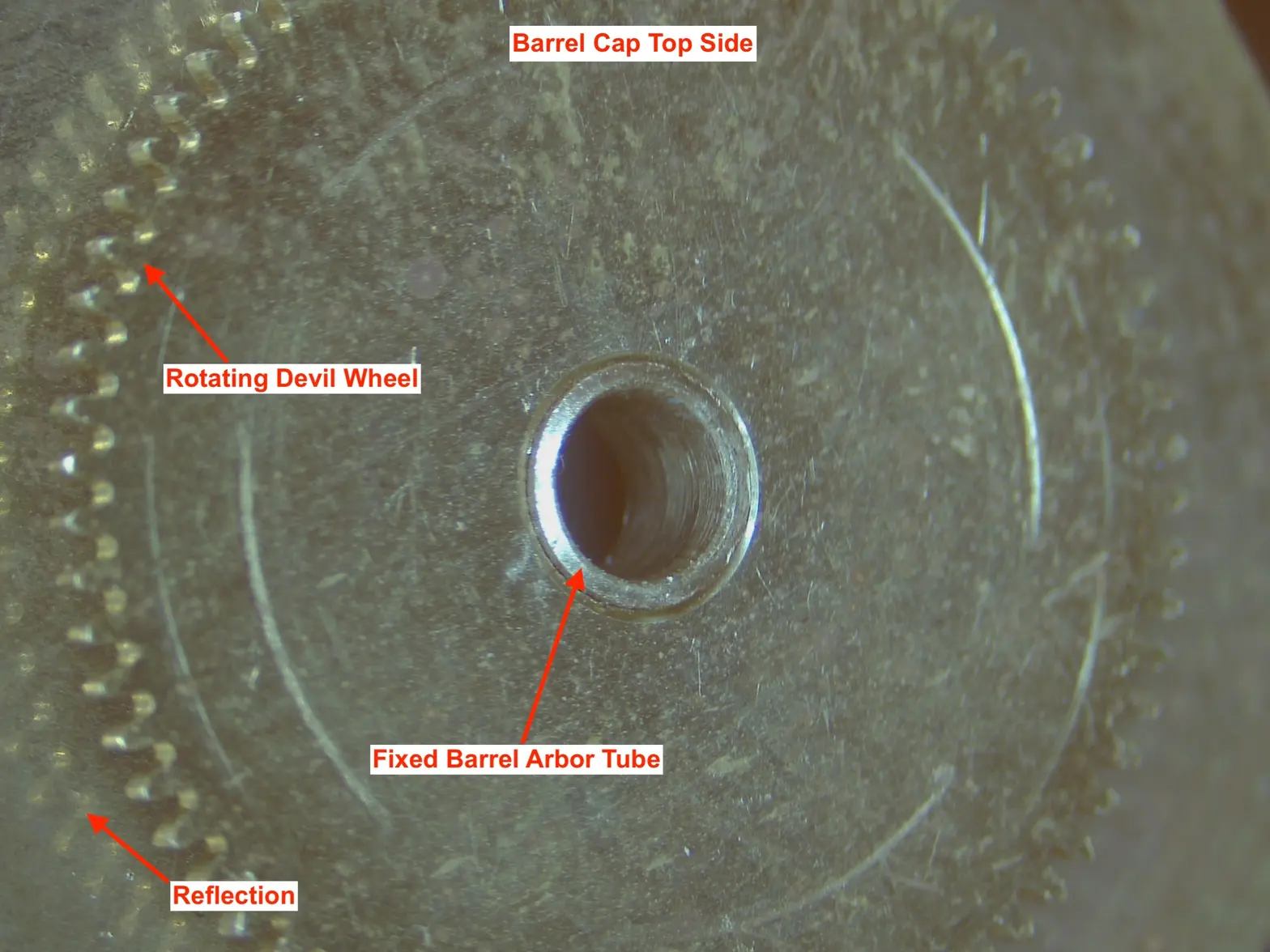 APW Barrel Cap Topside.webp