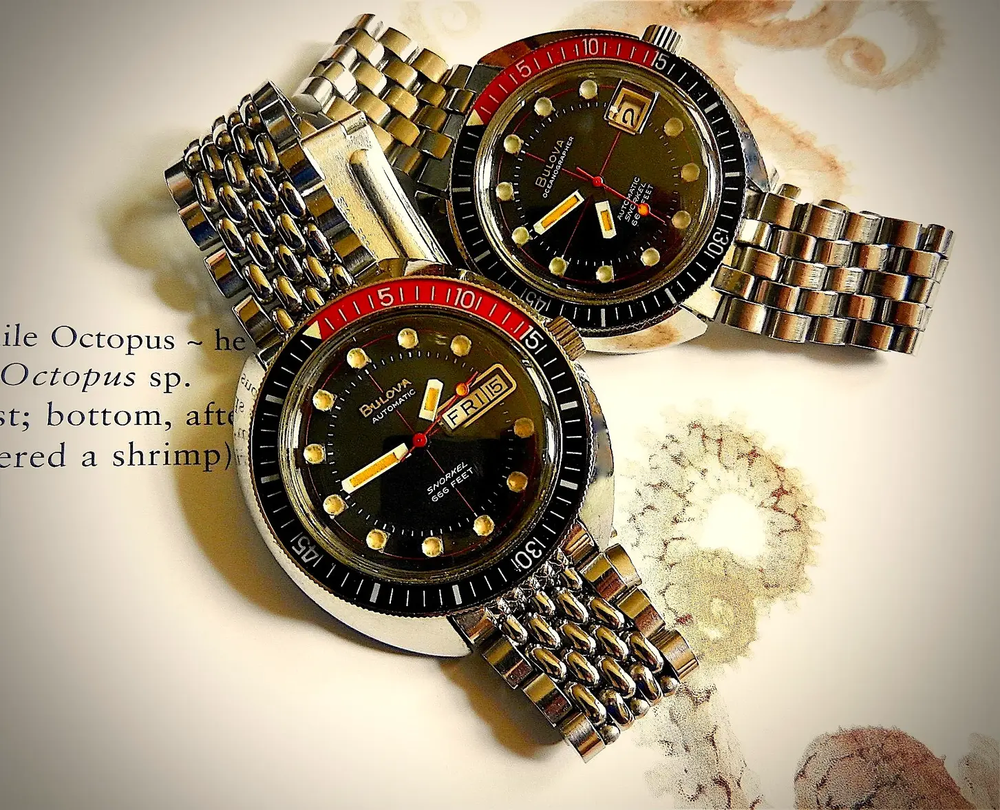 117868672_10157612905524537_8192655529061264418_n 2.webp