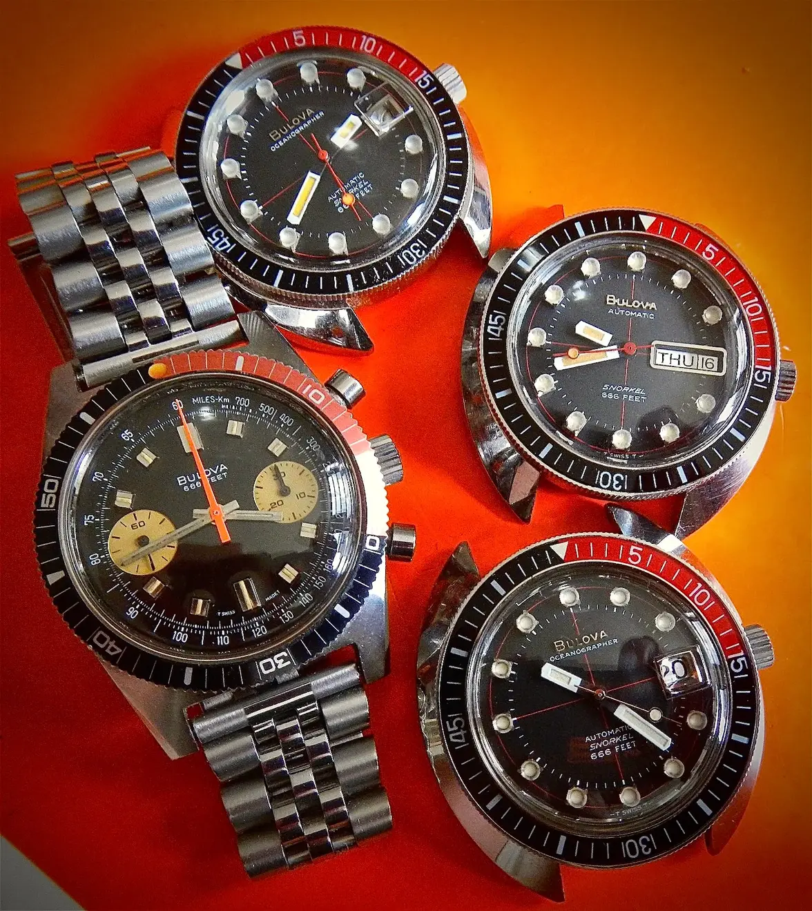 60754736_10156360290049537_8313109922409611264_n 2.webp