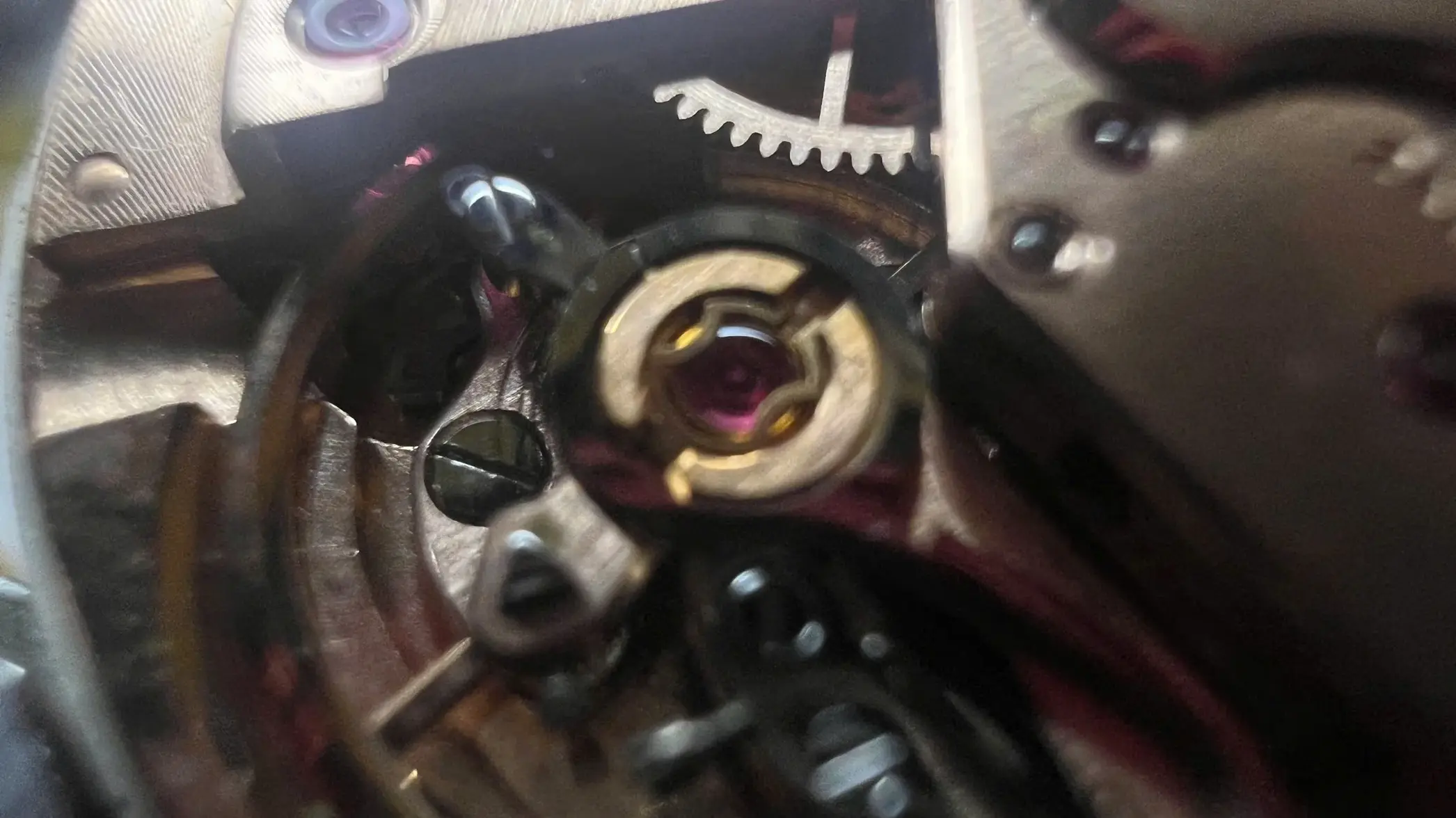 z7344970184537_8b74dae617adbdc22e7906851414e635.webp z7344970184537_8b74dae617adbdc22e7906851414e635.webp