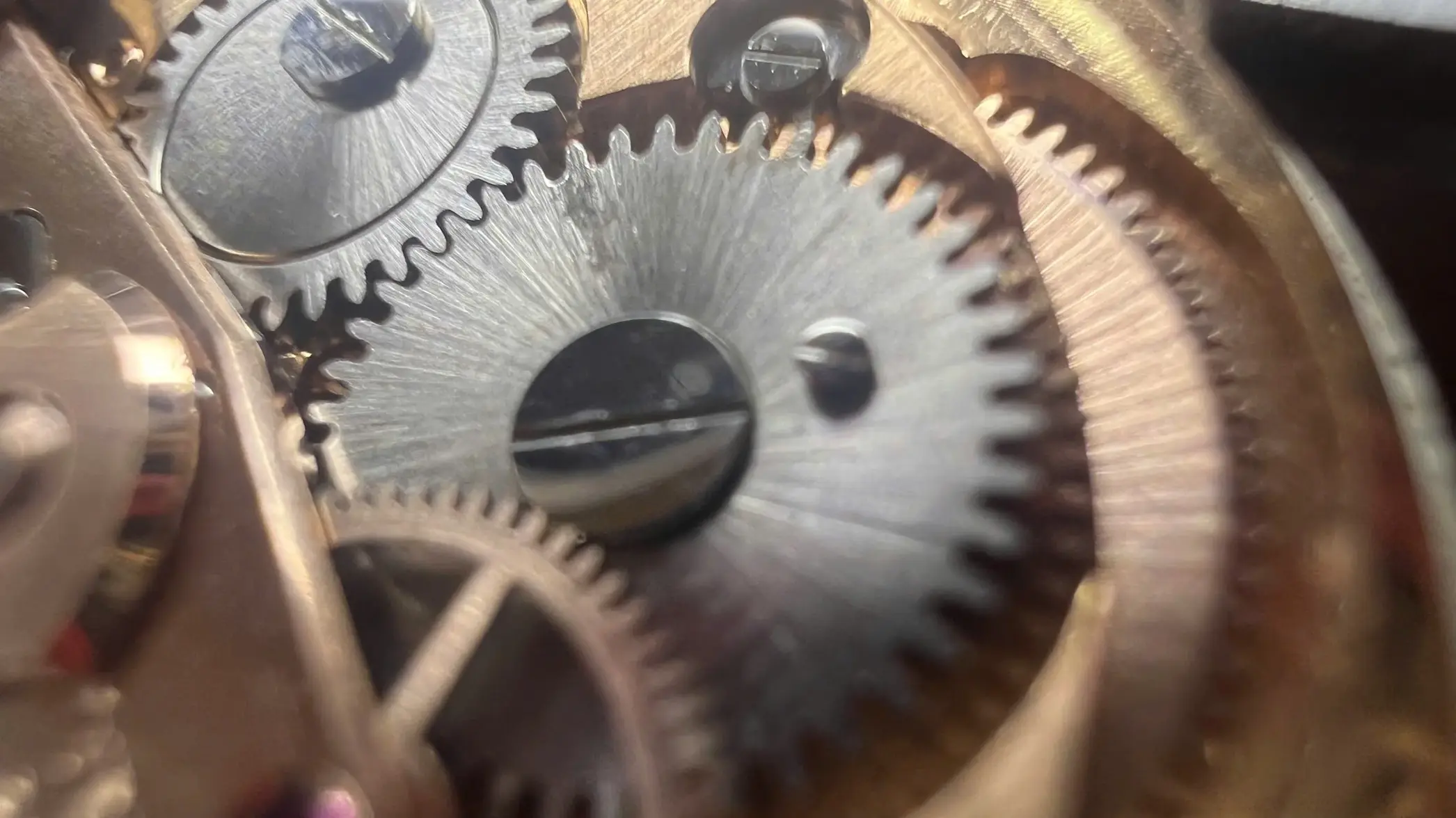 z7344970198628_f0fd339a707518e078ff30c999bbc223.webp z7344970198628_f0fd339a707518e078ff30c999bbc223.webp