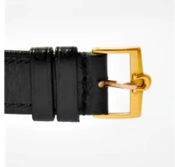 Image 2026-01-08 at 12.46 PM.webp