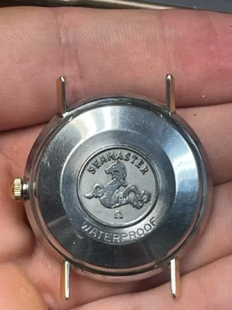 IMG_7749 Medium.webp