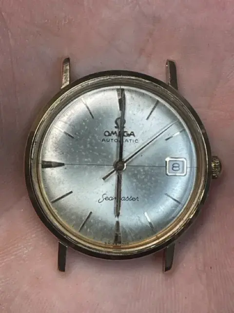 IMG_7750 Medium.webp