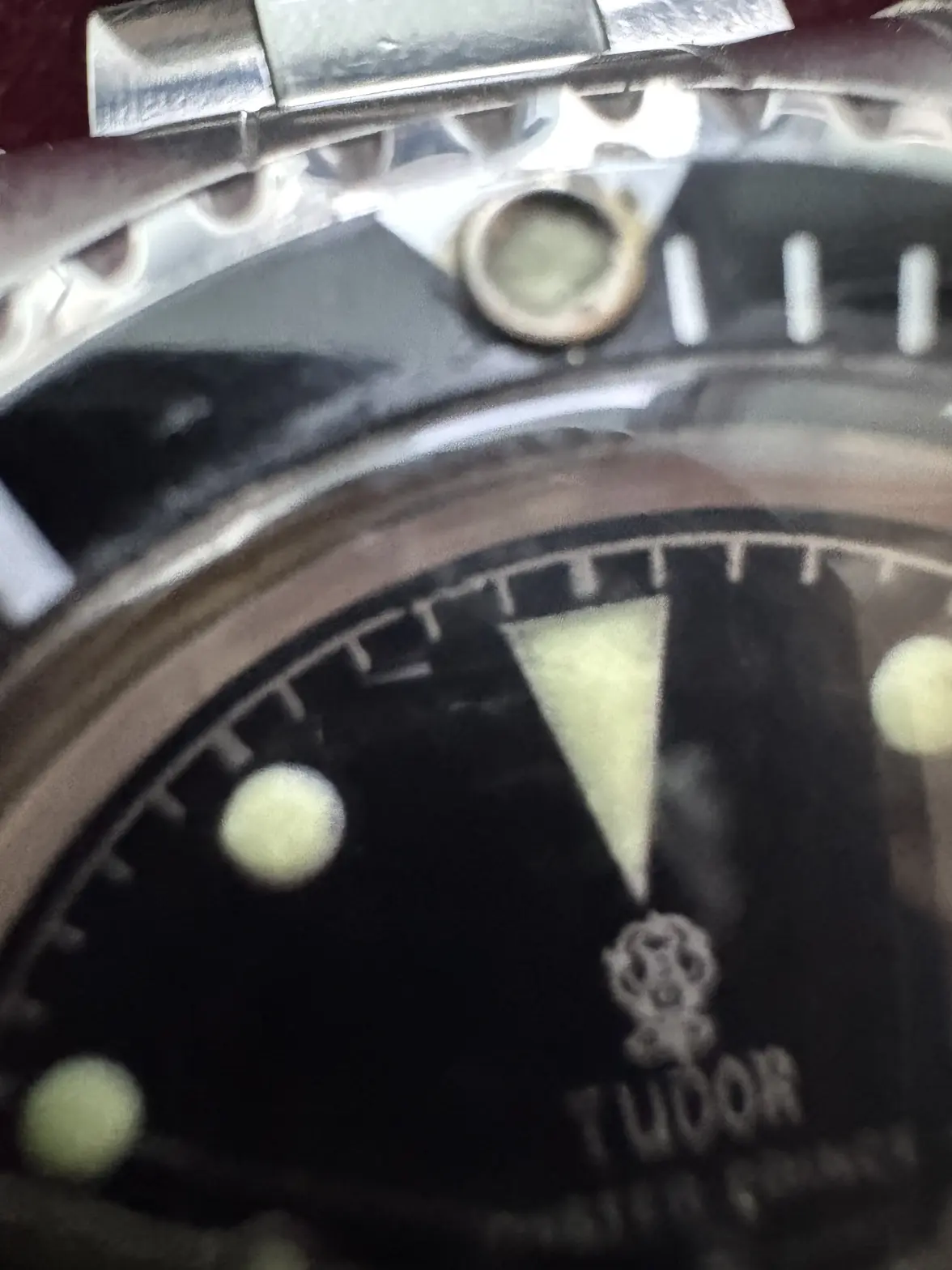 IMG_5188.webp IMG_5188.webp