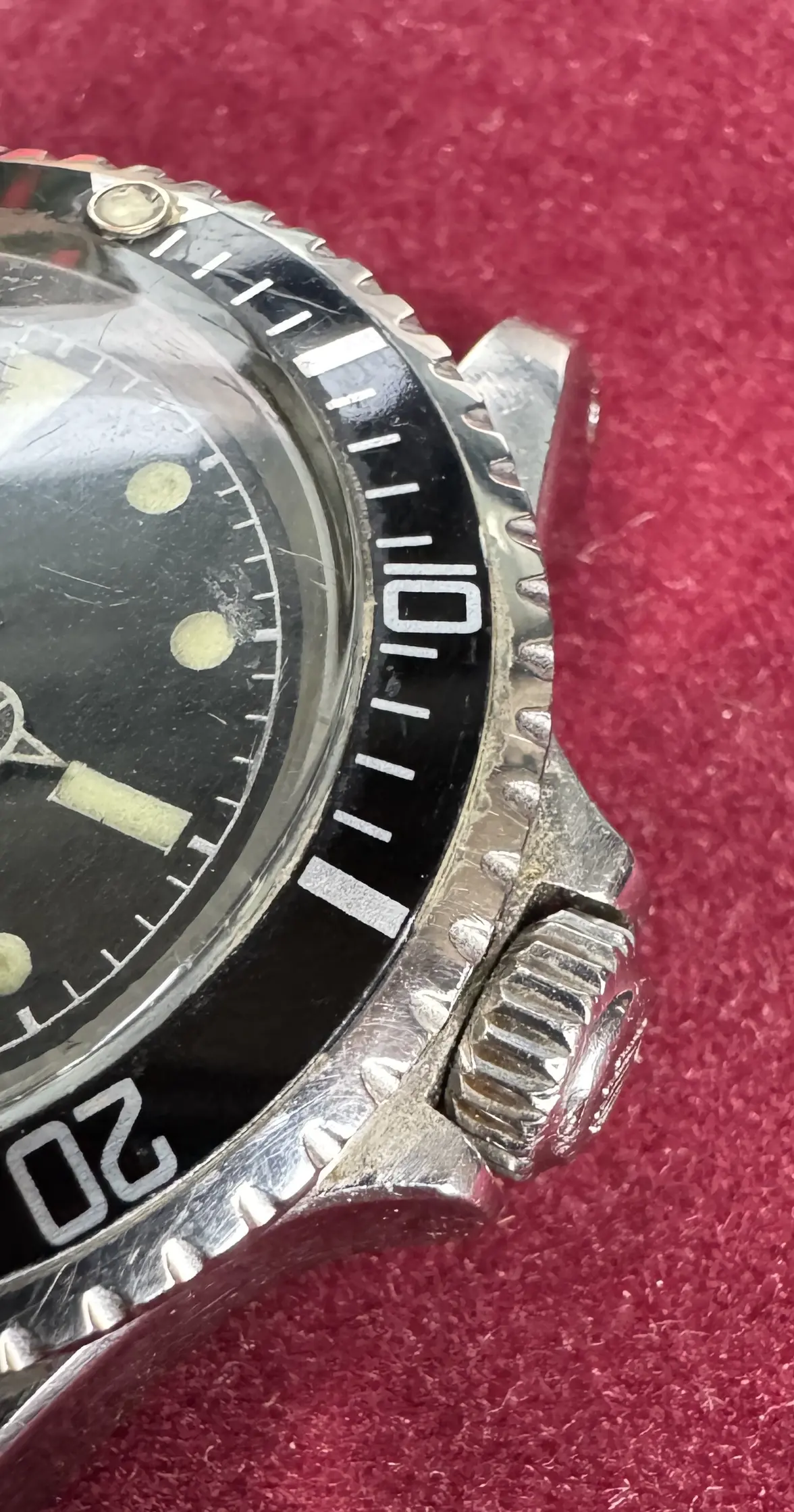 IMG_5199.webp IMG_5199.webp