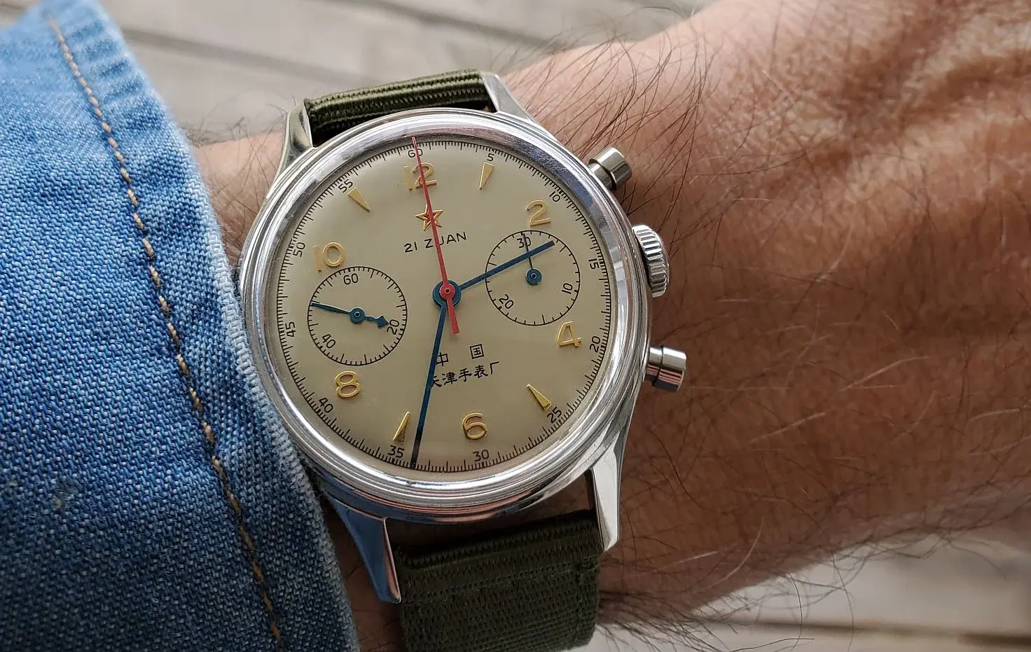 Seagull ws 1 20260111_143347(0).webp