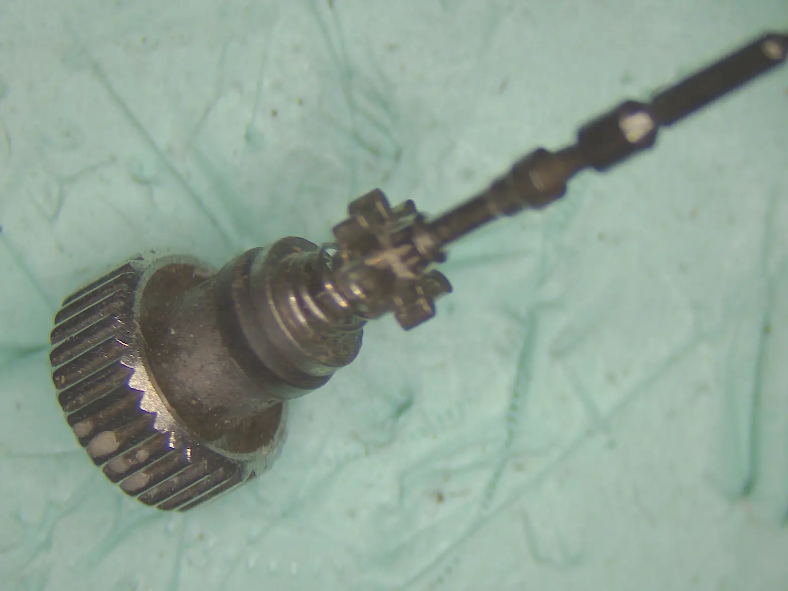 Crown:Stem pre-clean.webp