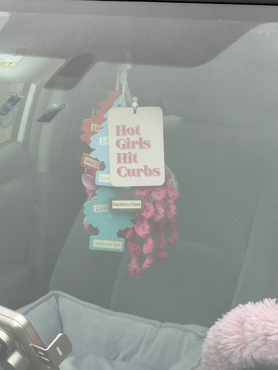 IMG_3904.webp IMG_3904.webp