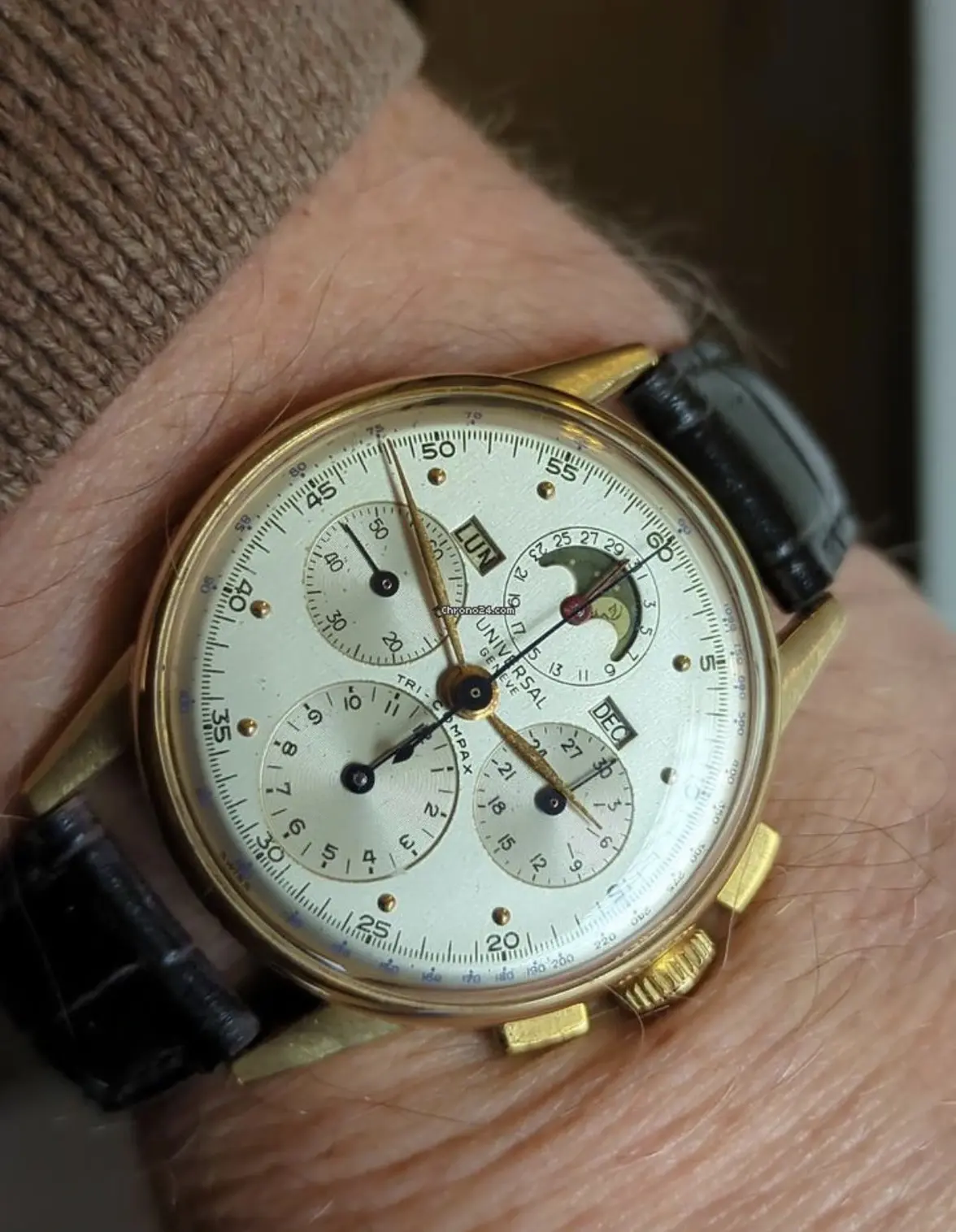 IMG_0559.webp IMG_0559.webp