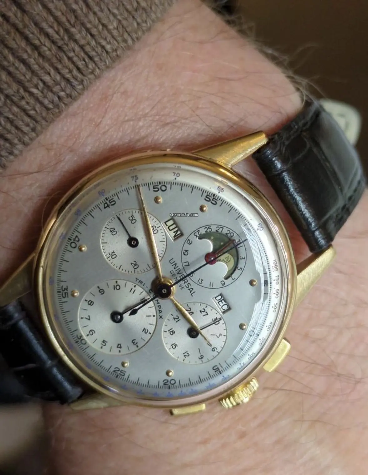 IMG_0558.webp IMG_0558.webp