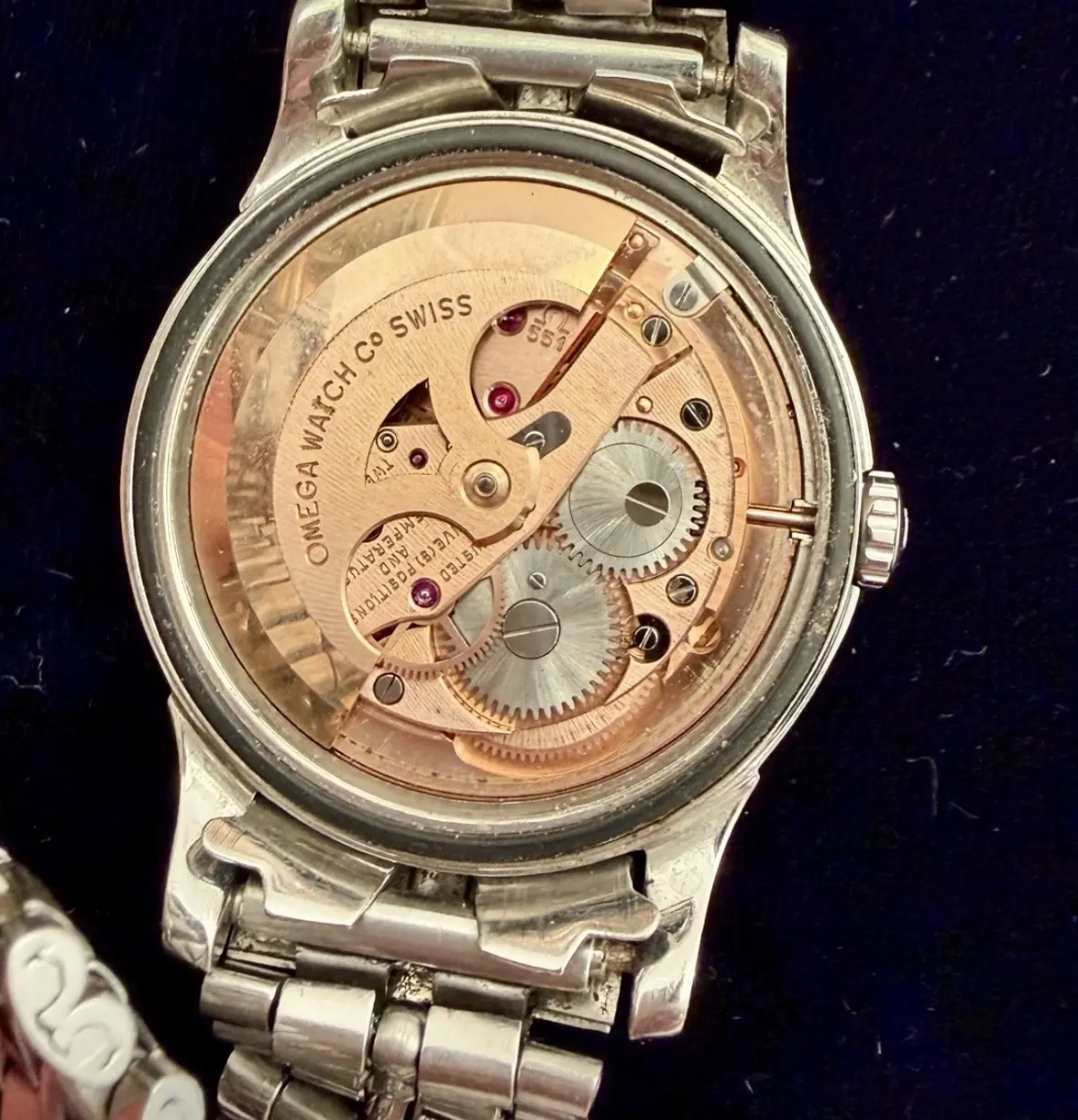 IMG_4660.webp IMG_4660.webp