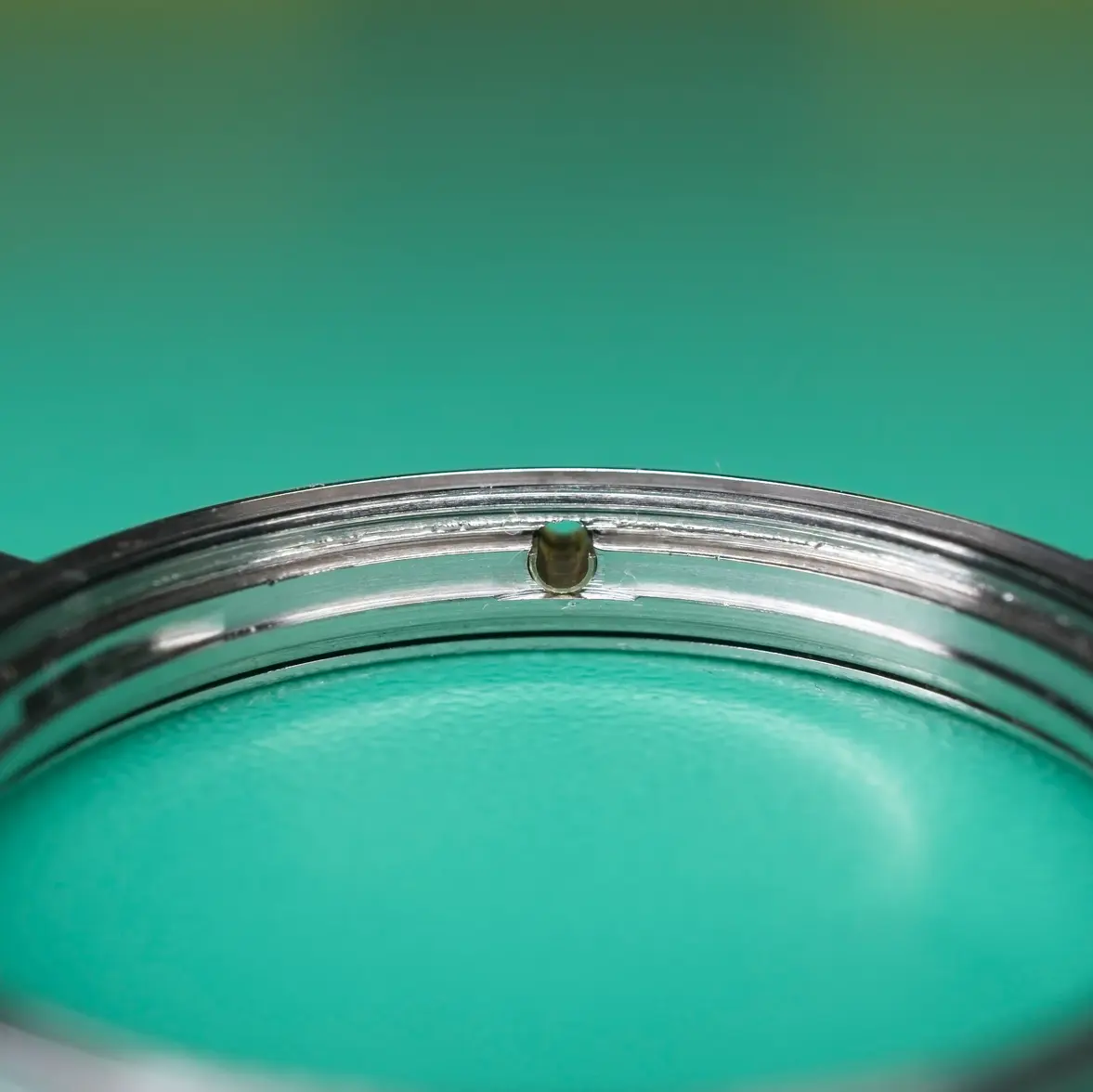 DSC07287_0000.webp DSC07287_0000.webp