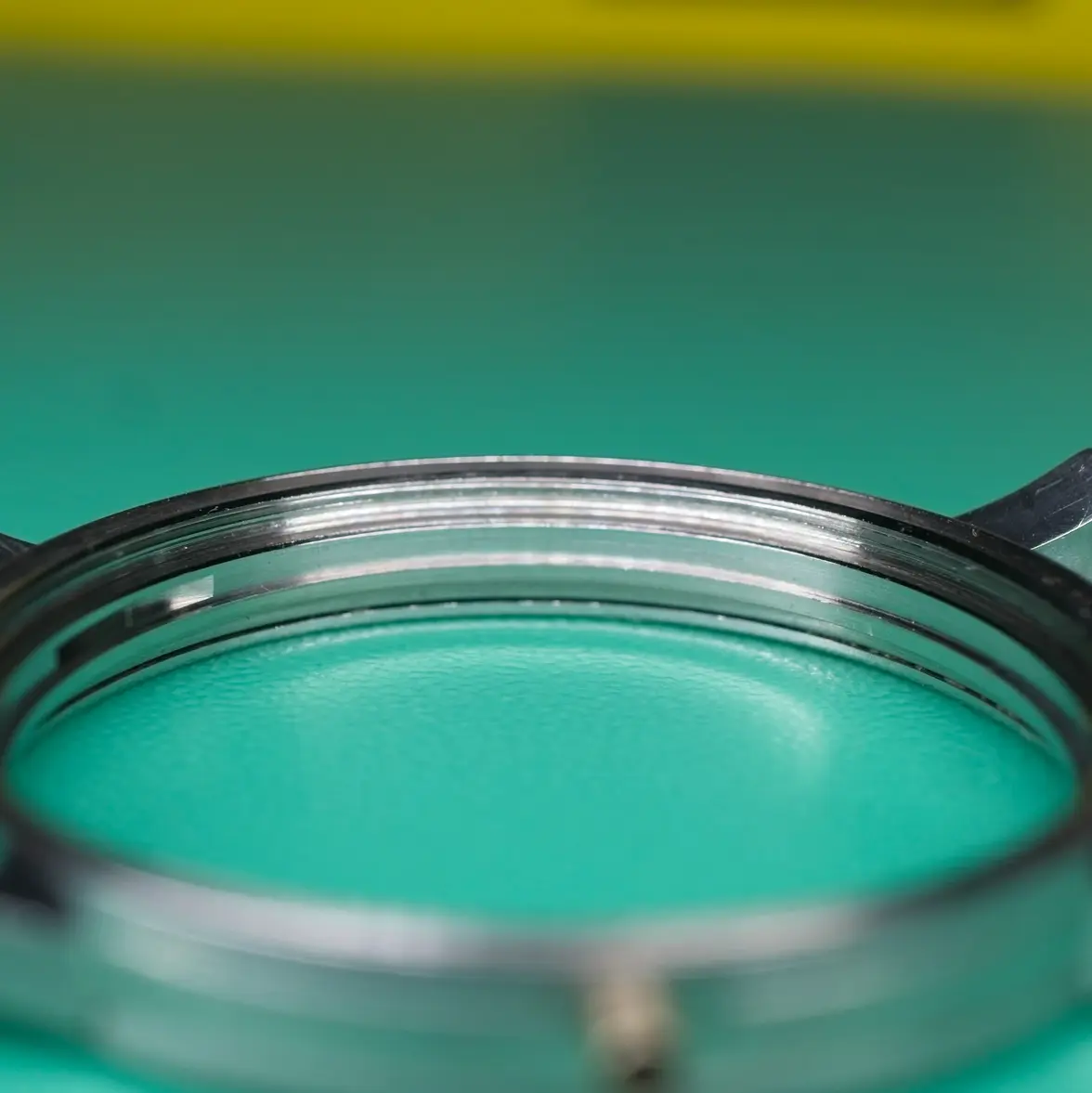 DSC07290_0000.webp DSC07290_0000.webp