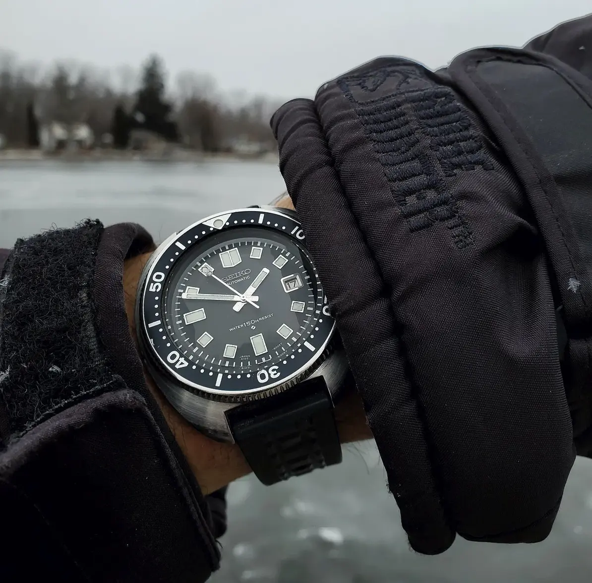 Willard ws 1b 20260117_135020.webp