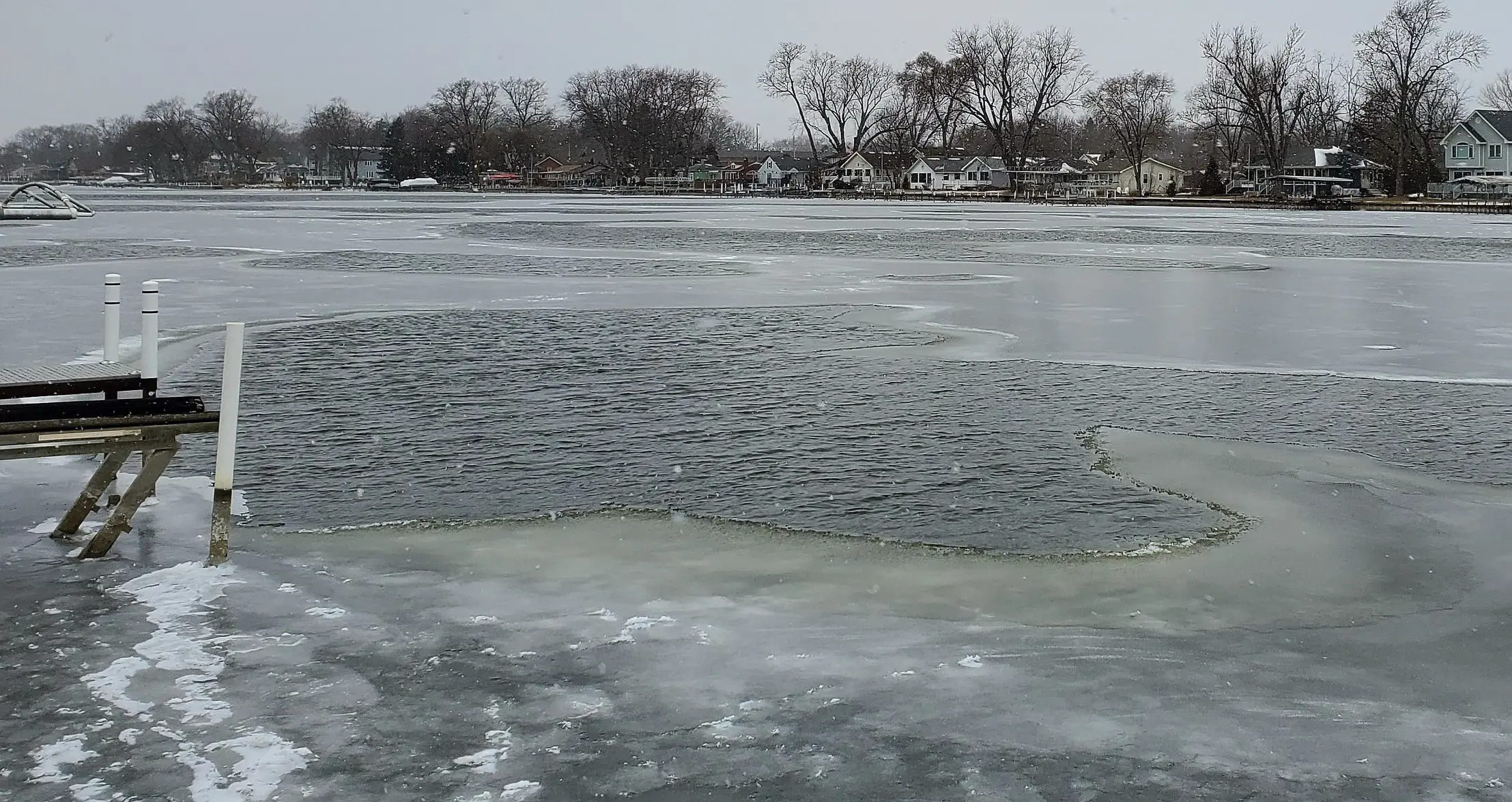 Willard ws 2b 20260117_134949.webp