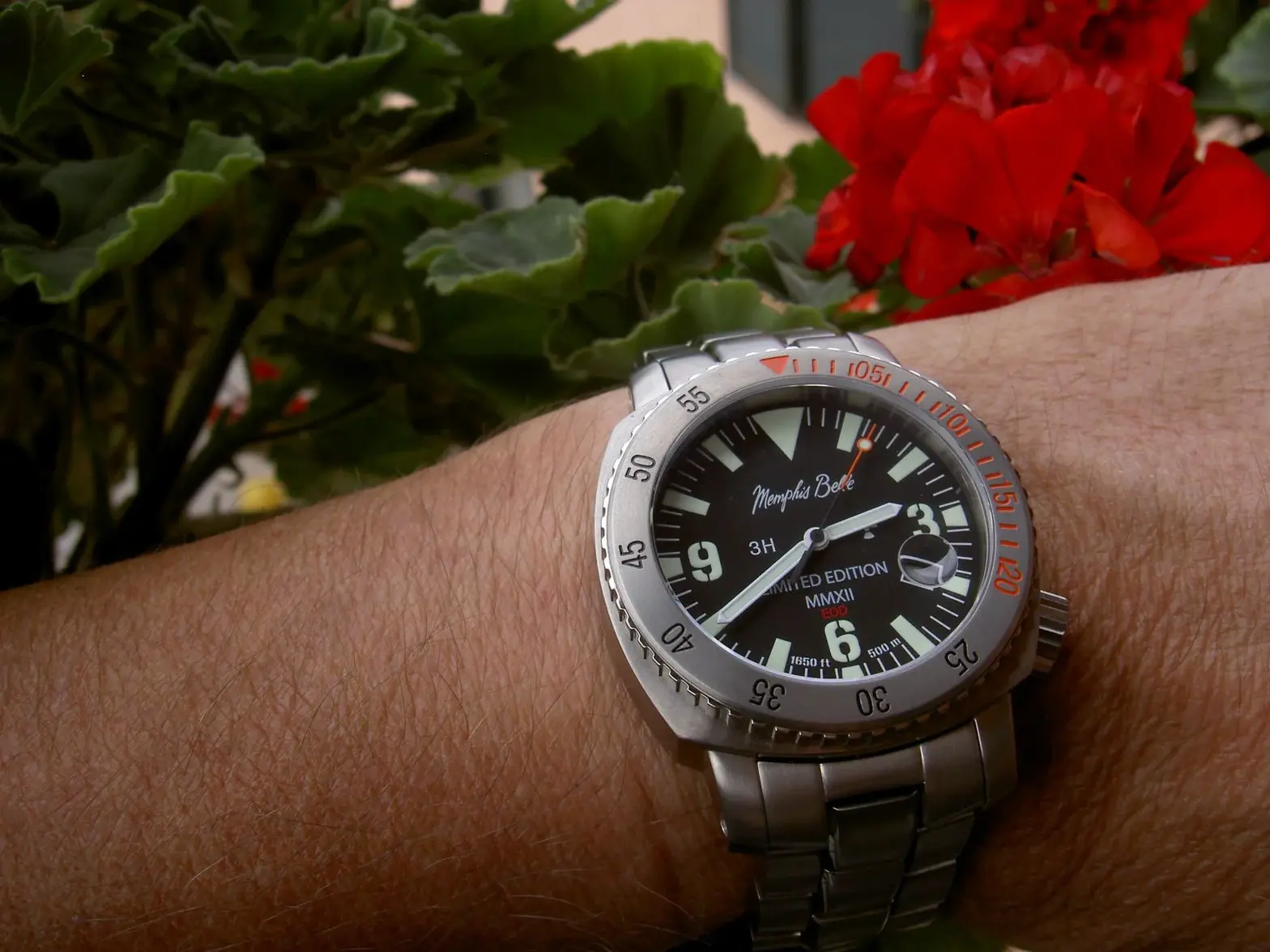 memphis belle (11).webp