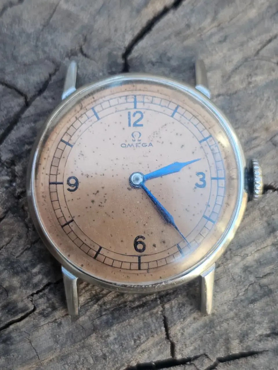 WhatsApp Image 2026-01-19 at 17.57.32.webp