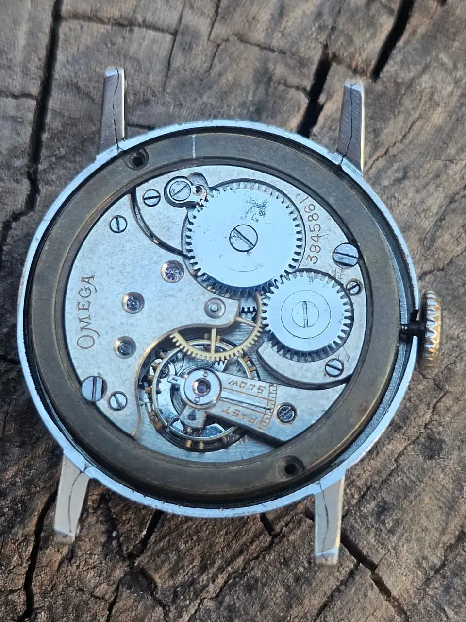 WhatsApp Image 2026-01-19 at 17.57.33.webp