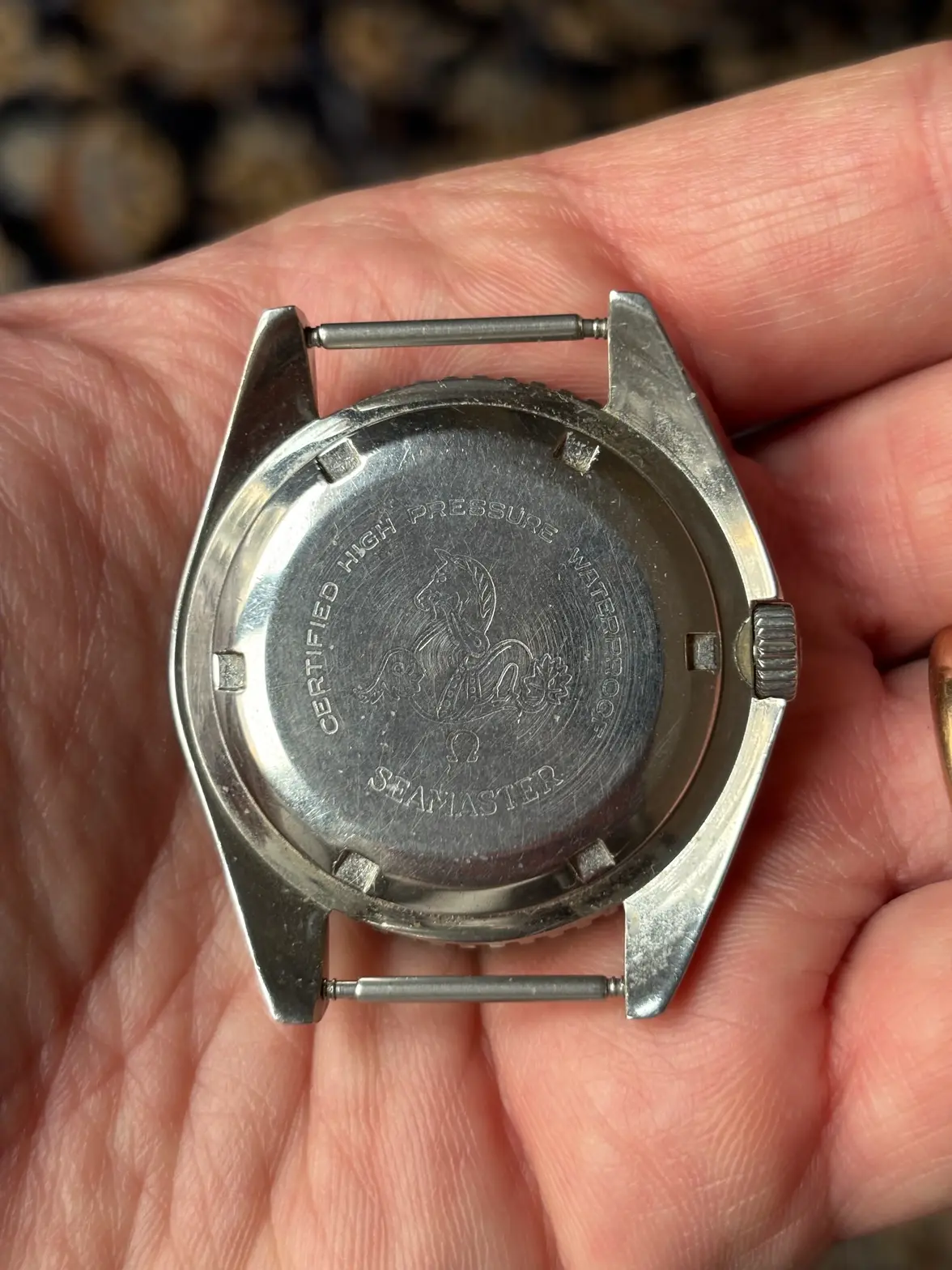 2026-01-21 13.38.01.webp