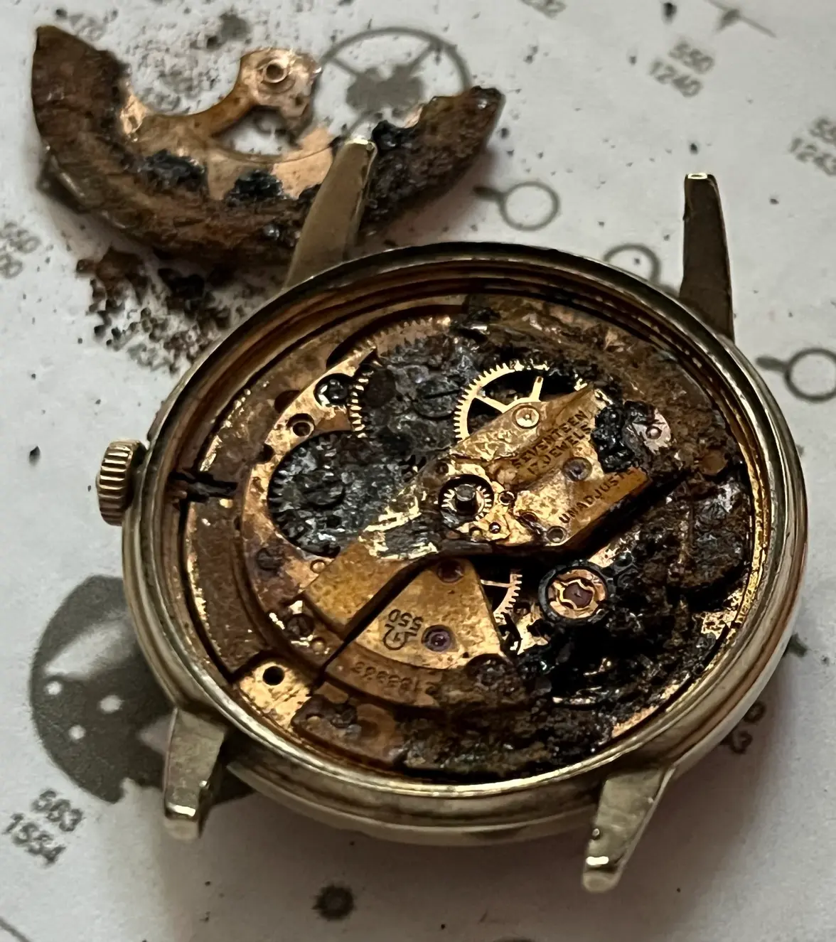 IMG_4815.webp IMG_4815.webp