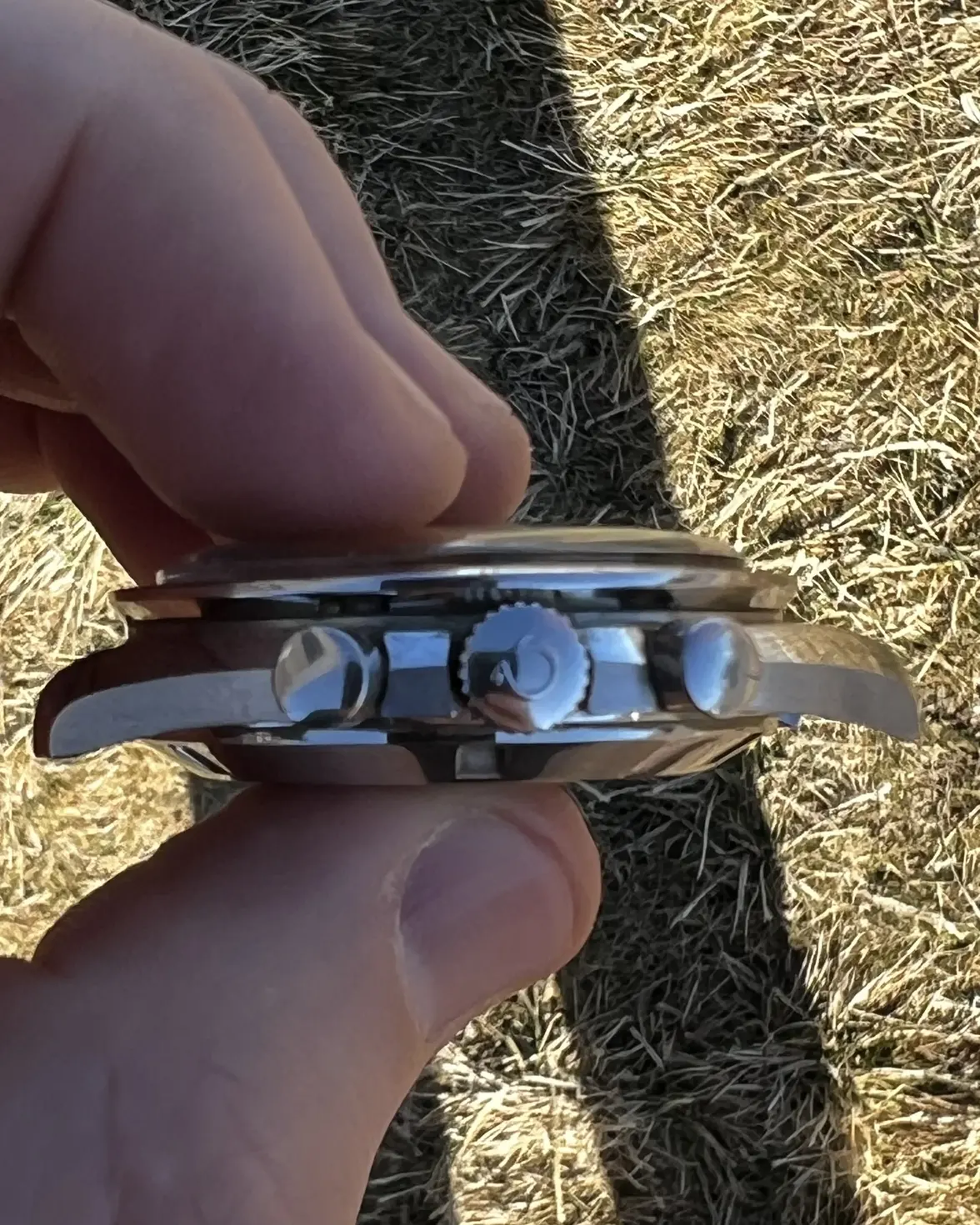 IMG_5774.webp IMG_5774.webp