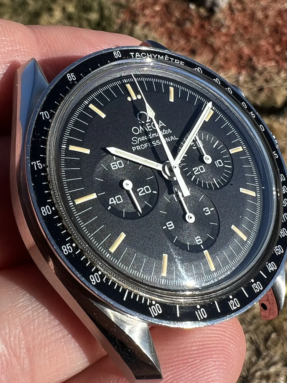 IMG_5771.webp IMG_5771.webp