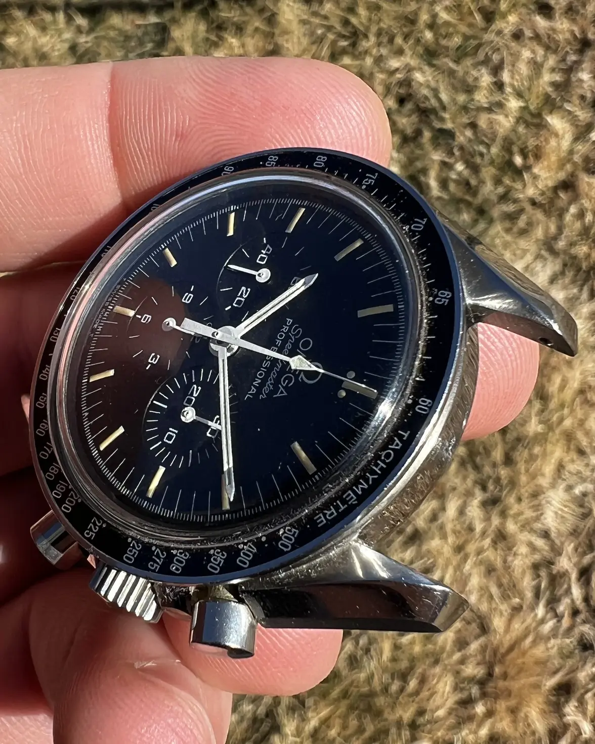 IMG_5782.webp IMG_5782.webp