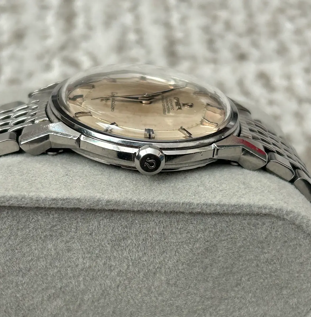 IMG_1295.webp IMG_1295.webp